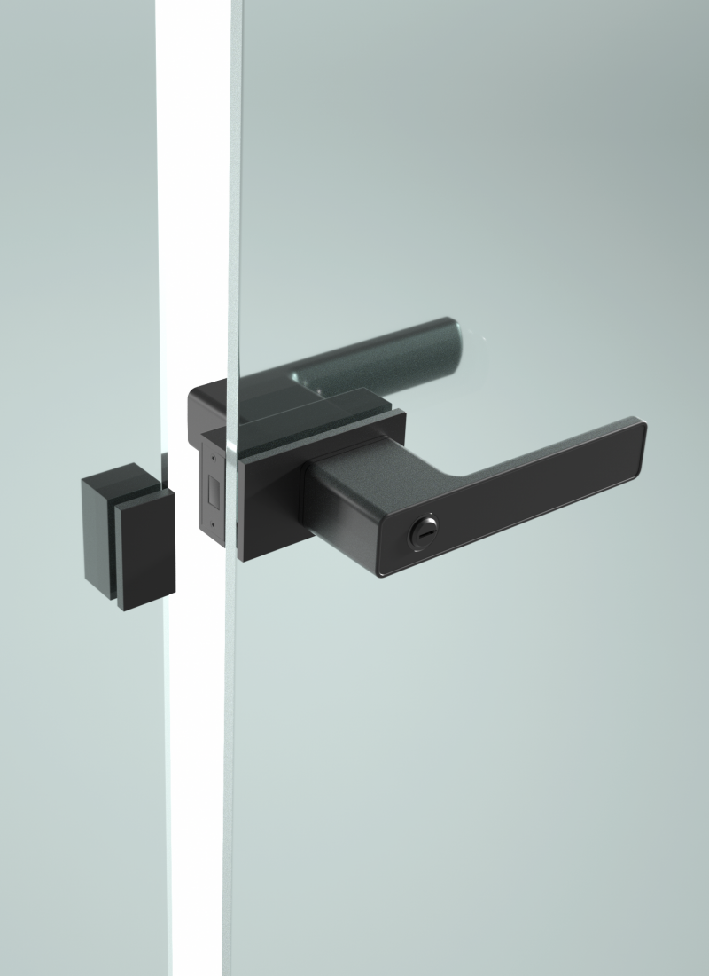 zinc alloy qhov rooj kov nrog iav