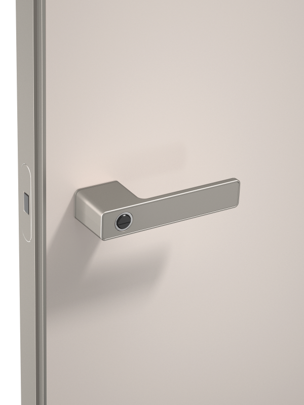 Niaj hnub nimno ntoo qhov rooj platinum grey kov