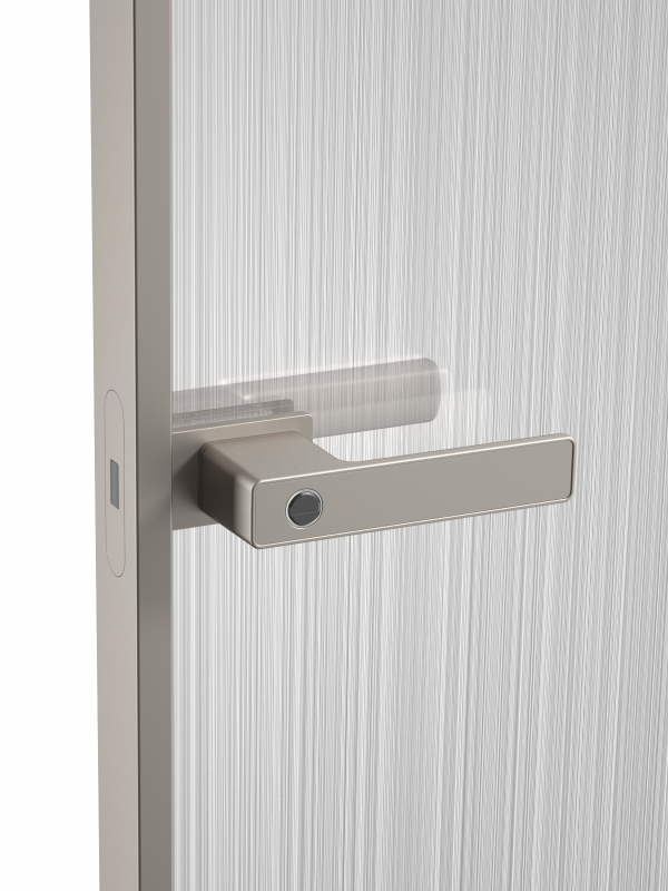 tshwj xeeb minimalist platinum grey qhov rooj kov rau iav qhov rooj nrog slim aluminium ncej