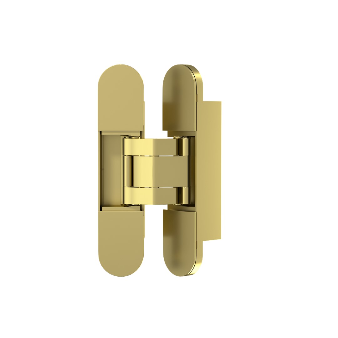 Gold 3D Door Hinge