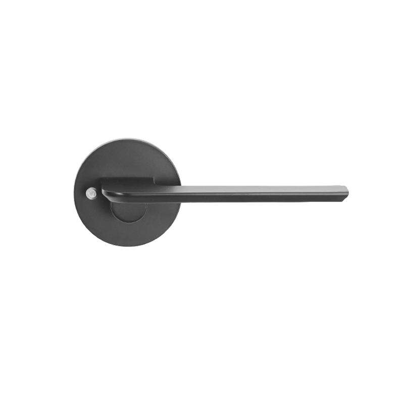 Fast delivery Internal Door Handles - Factory Supply China Simple New Patent Design Plate Lock Zamak Gold Plated Door Handle – YALIS