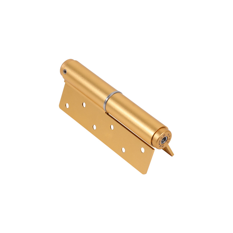 Aluminum Hydraulic Door Hinge