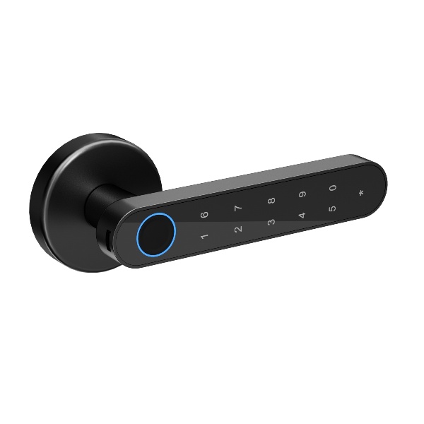 Fingerprint Interior Door Lock