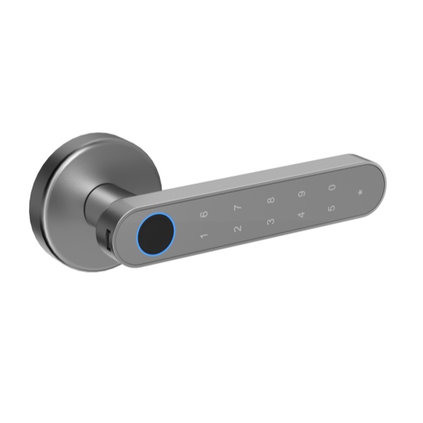 Fingerprint Interior Door Lock